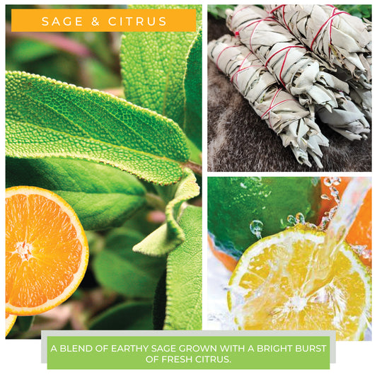 Sage & Citrus - 6 oz Cheerful Candle