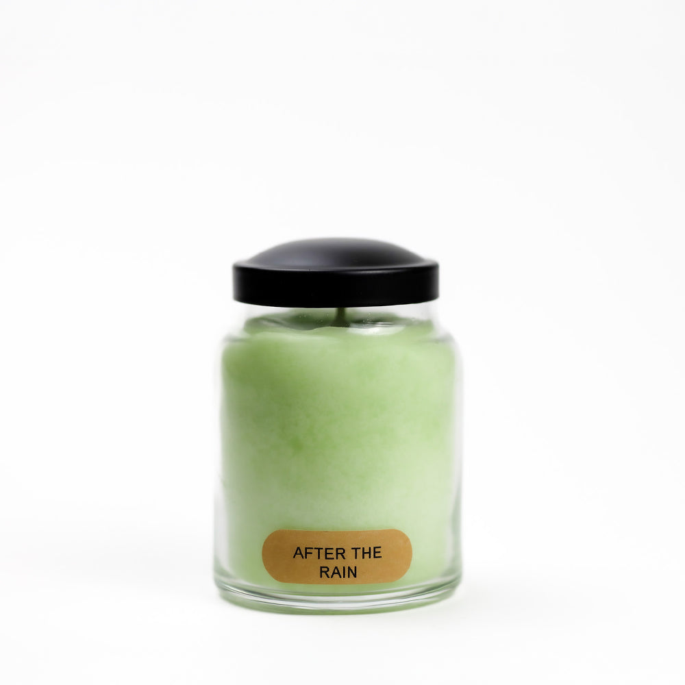 After The Rain - 6 oz Baby Candle