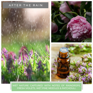 After The Rain - 24 oz Cheerful Candle