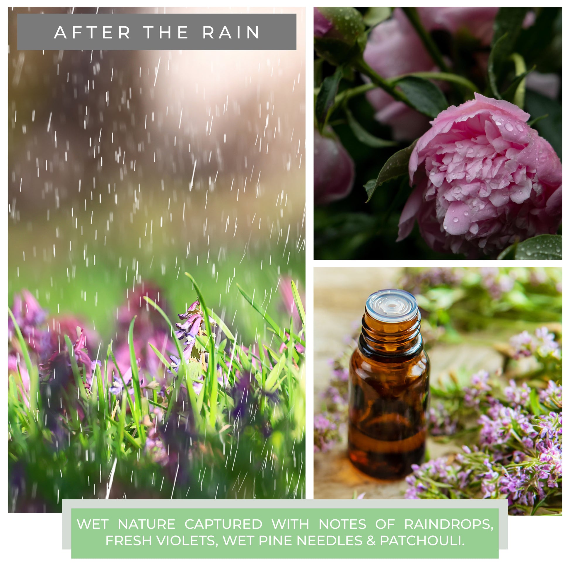 After The Rain - 6 oz Cheerful Candle