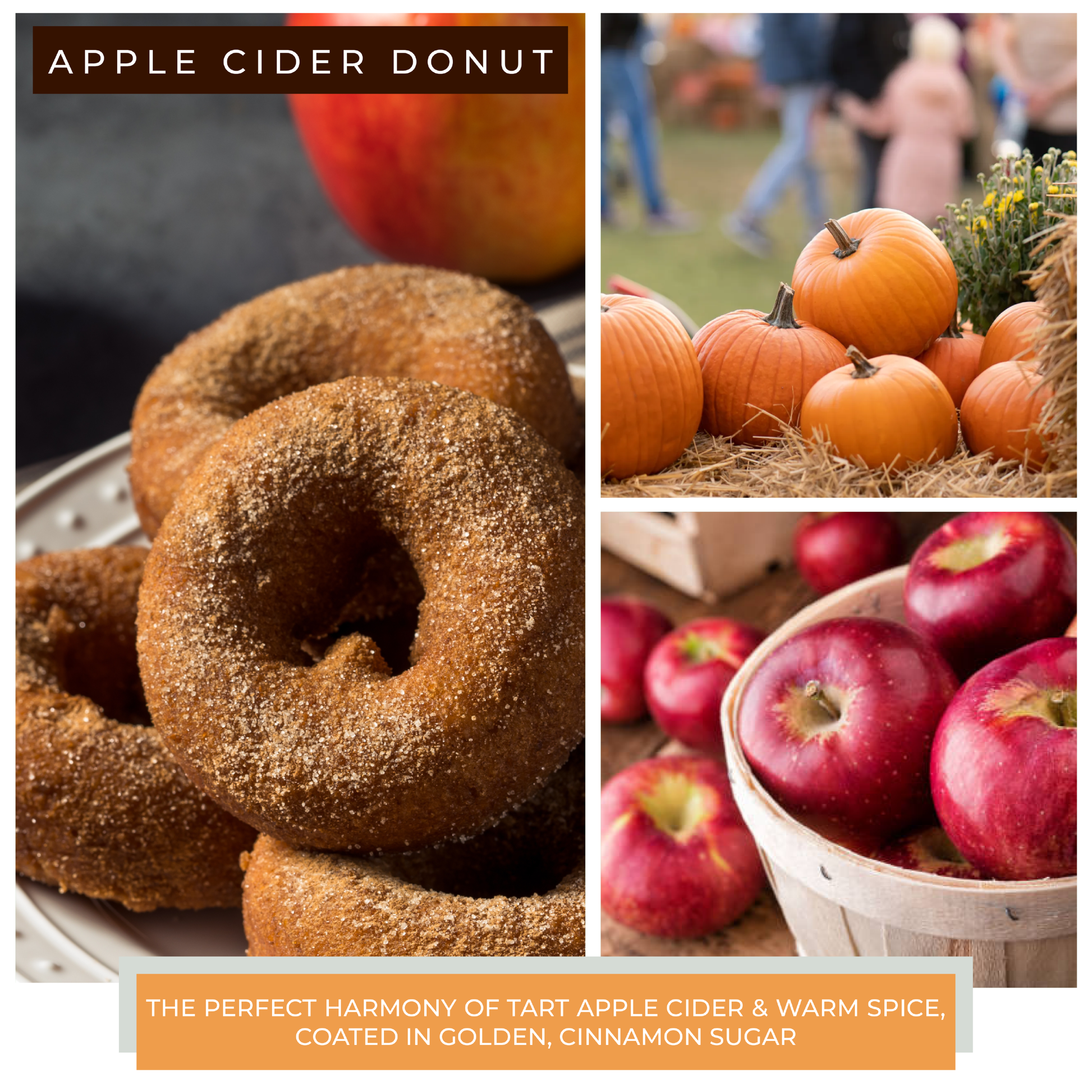 Apple Cider Donut - 6 oz Baby Candle