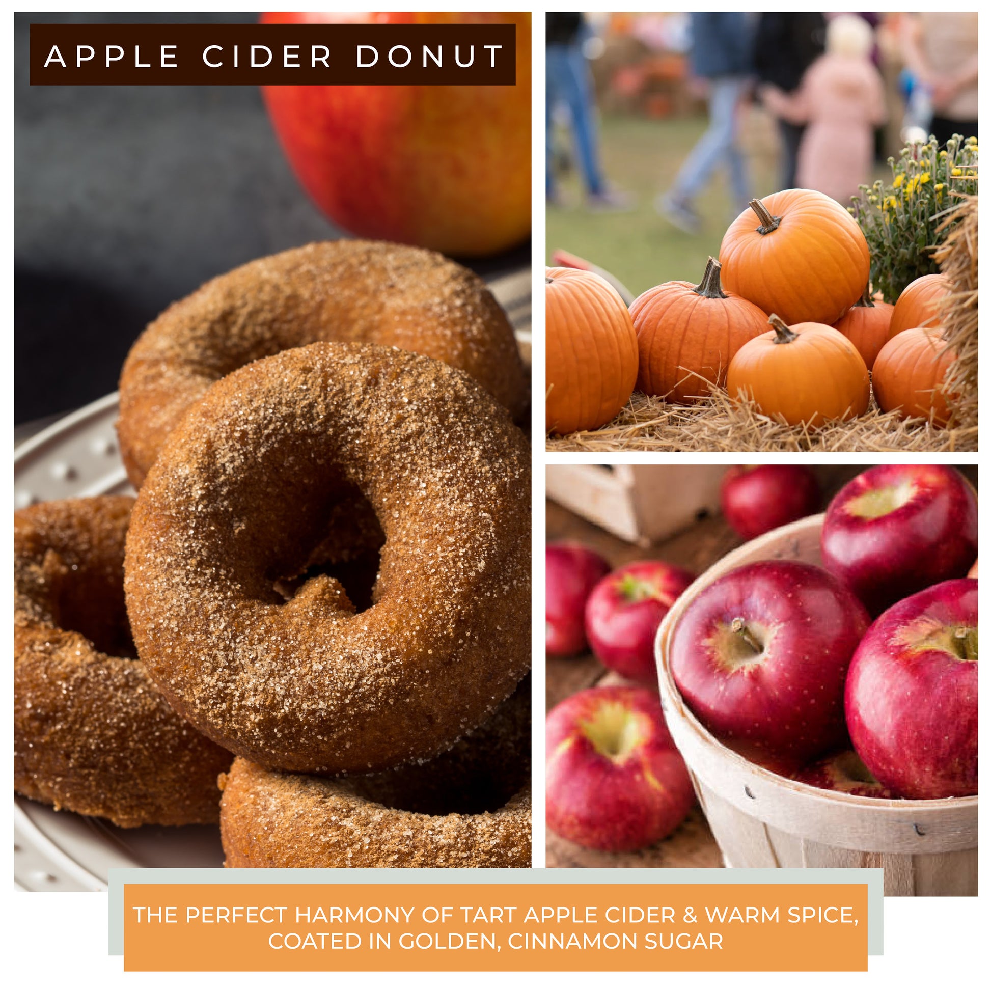 Apple Cider Donut - 22 oz Mama Candle