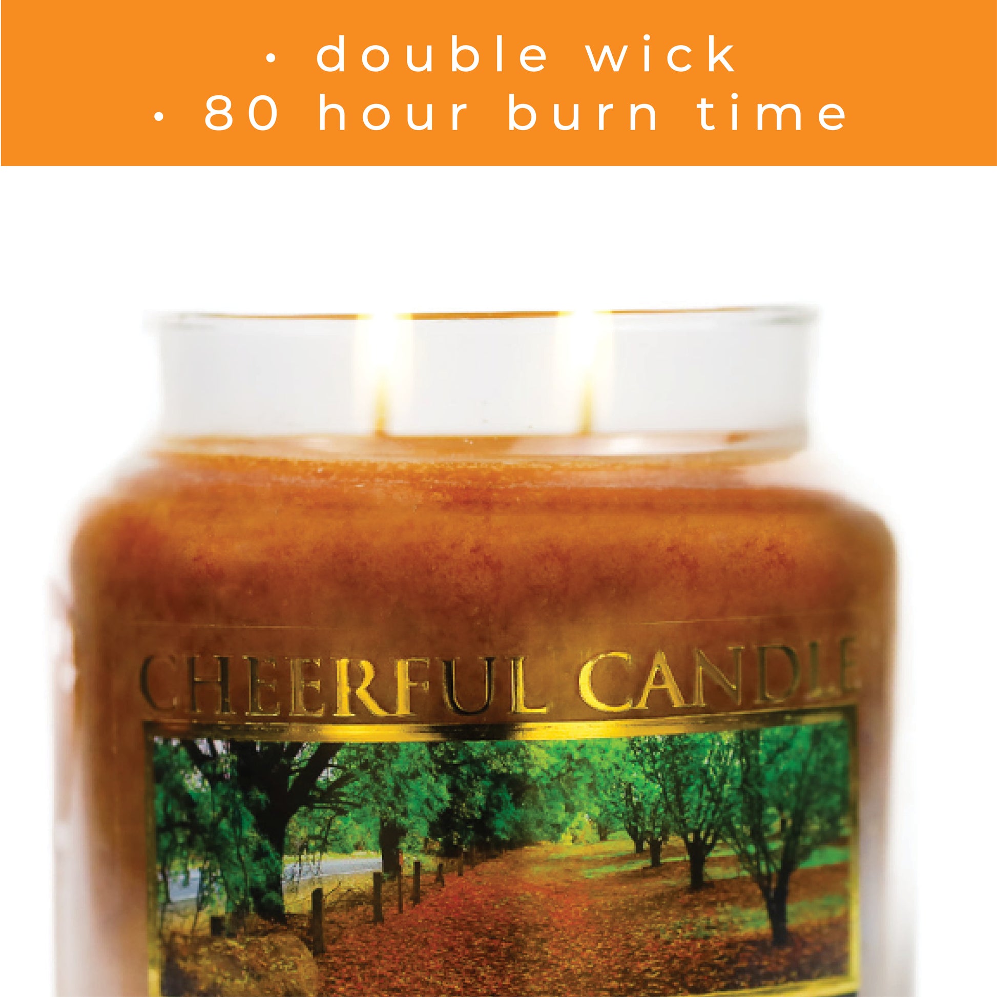 Autumn Orchards - 16 oz Cheerful Candle