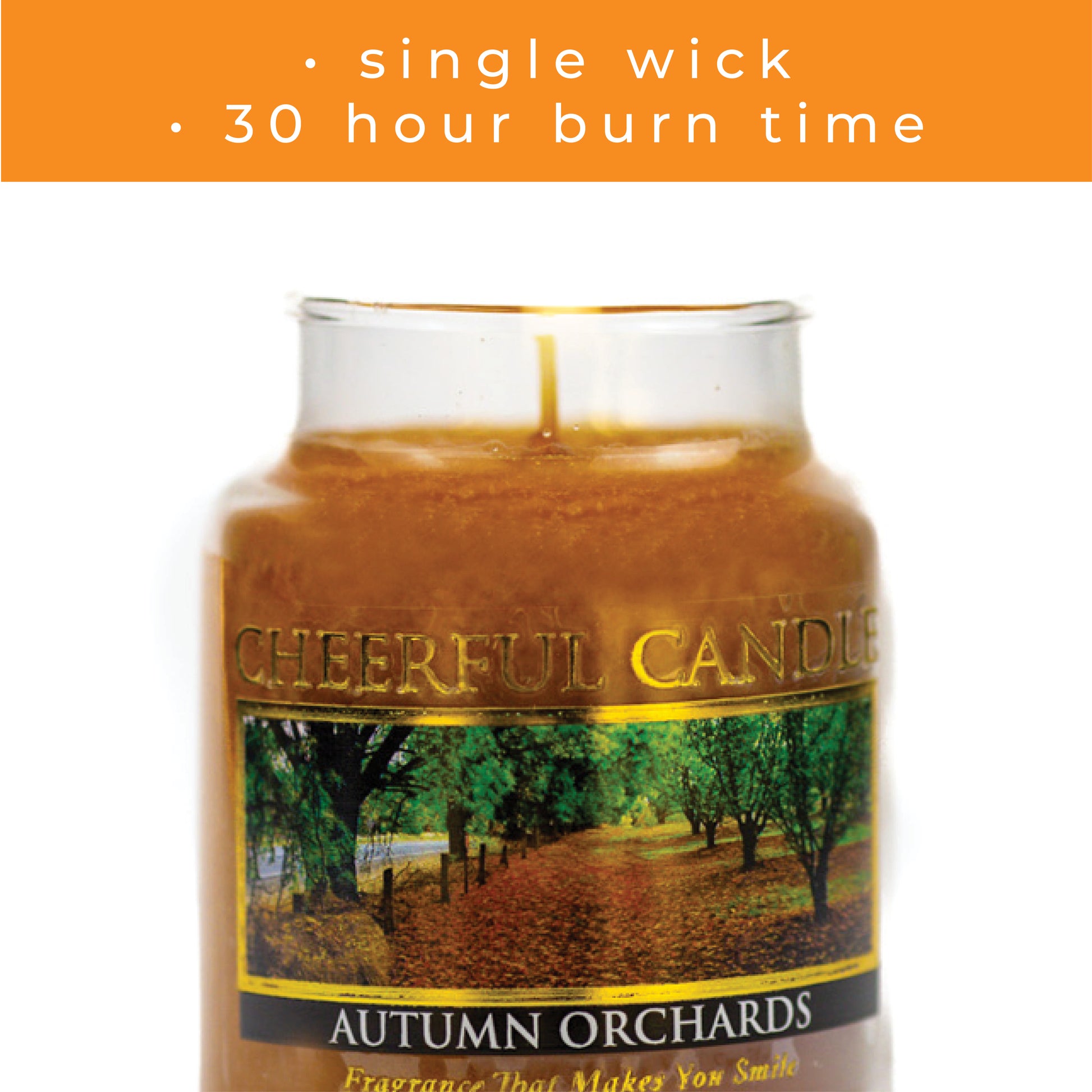 Autumn Orchards - 6 oz Cheerful Candle