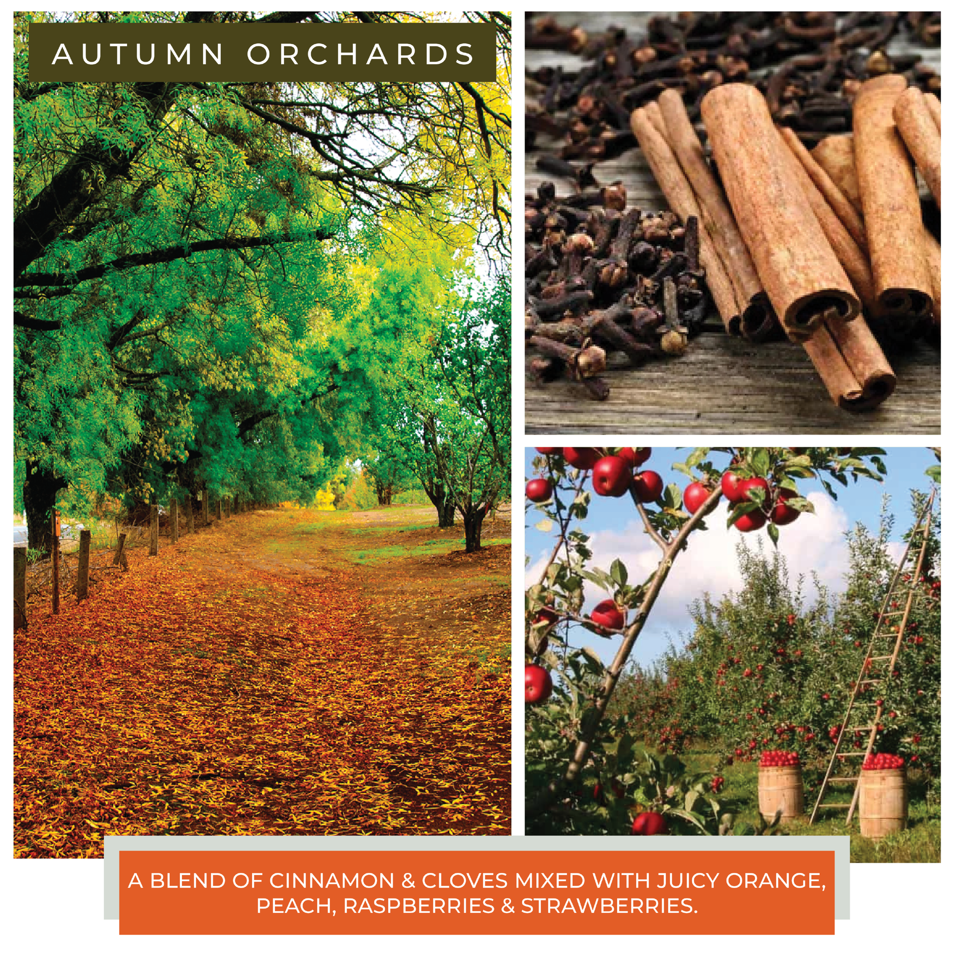 Autumn Orchards - 6 oz Baby Candle