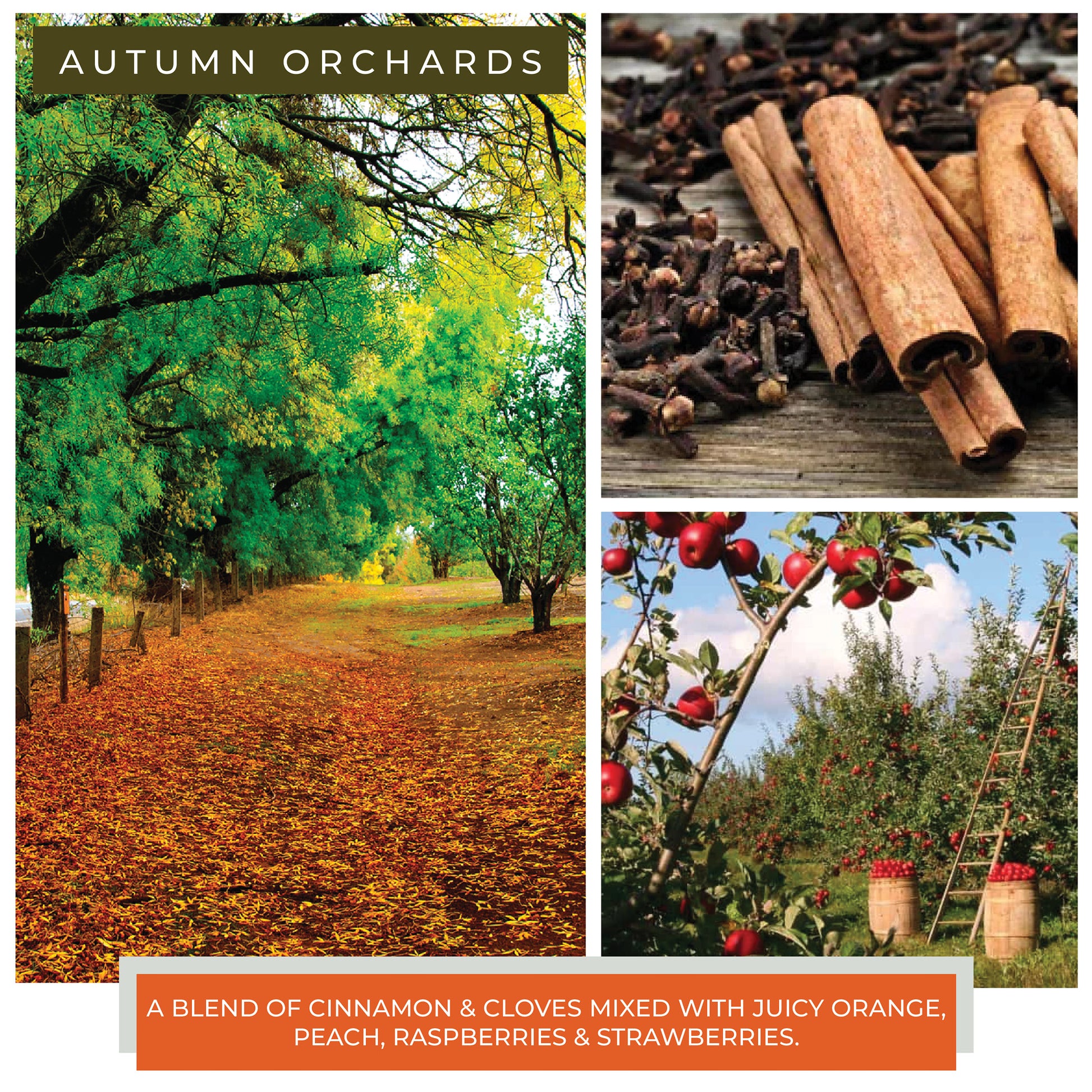 Autumn Orchards - 22 oz Mama Candle