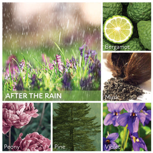 After The Rain Scent Profile Infographic - A Cheerful Giver