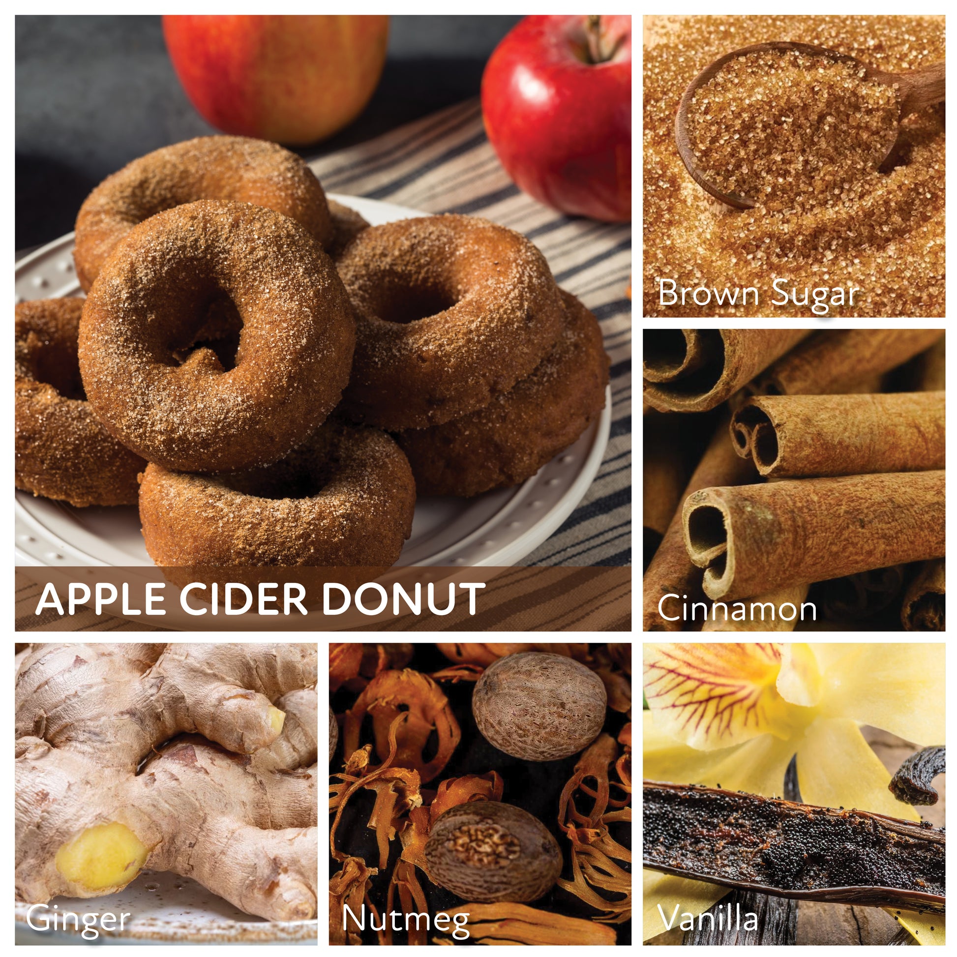 Apple Cider Donut - 6 oz Cheerful Candle