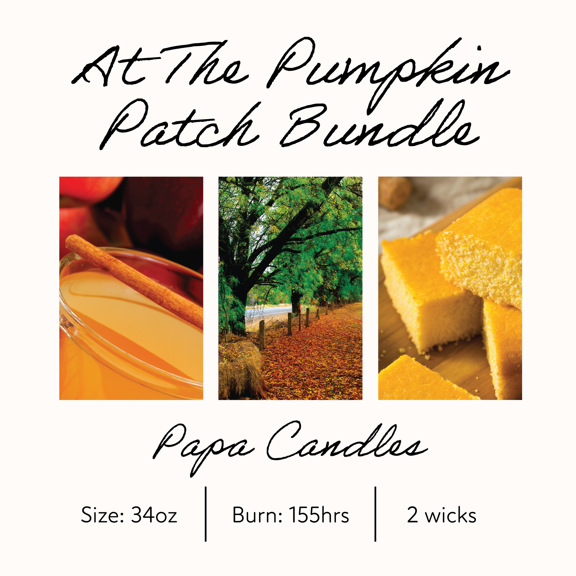 At The Pumpkin Patch Papa Candle Bundle
