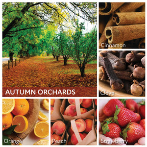 Autumn Orchards - 16 oz Cheerful Candle
