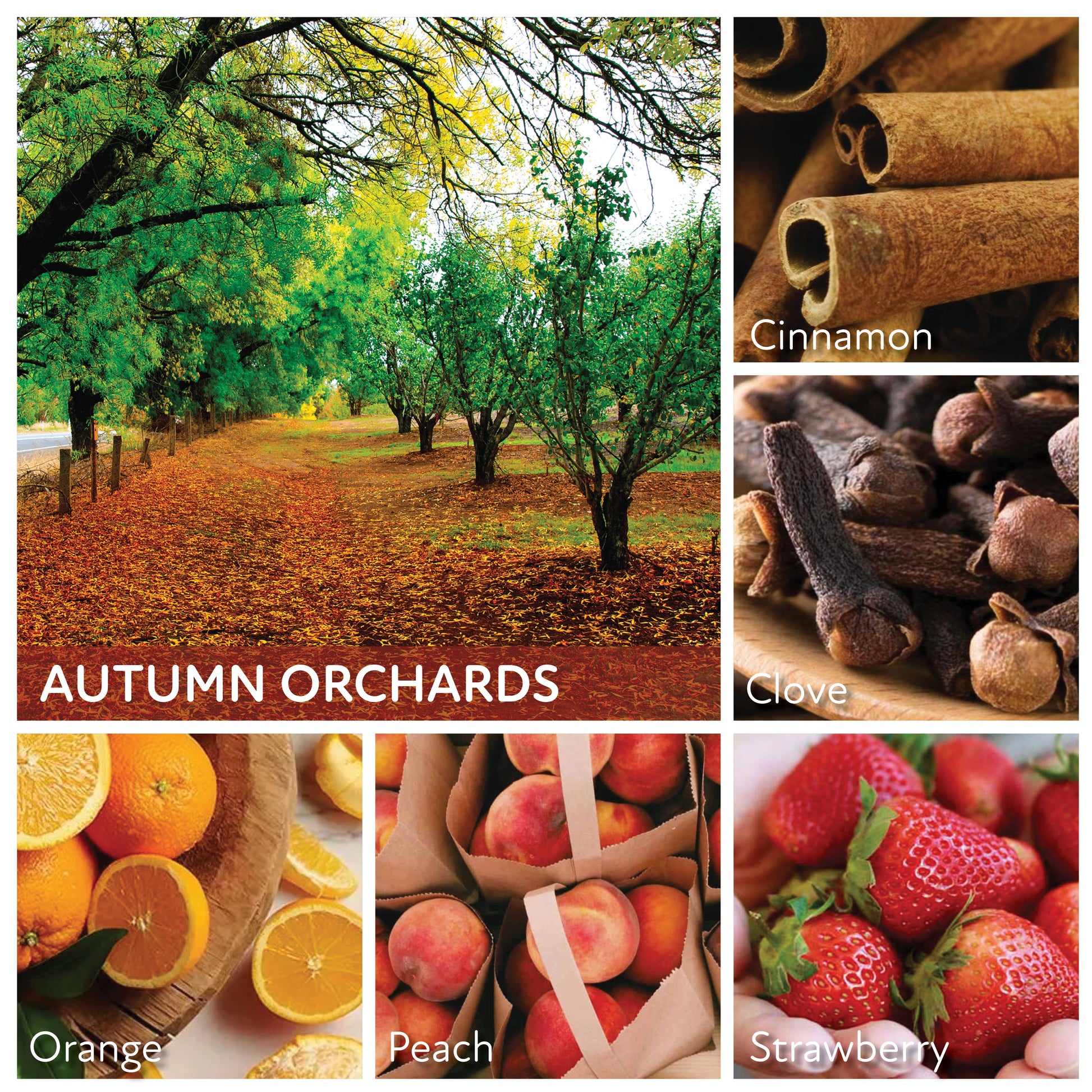 Autumn Orchards - 6 oz Baby Candle
