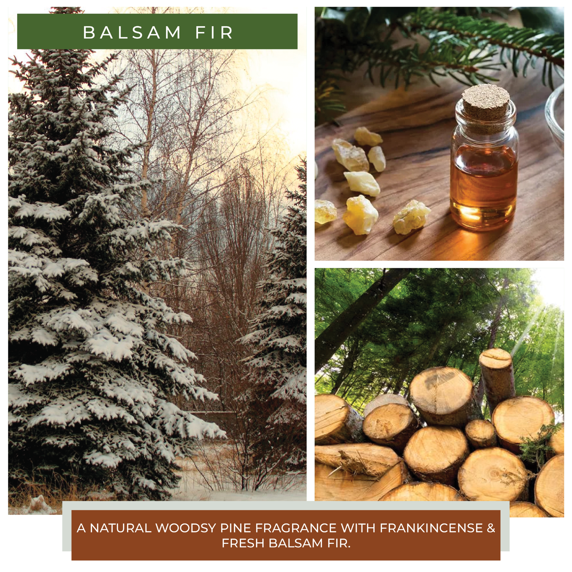 Balsam Fir - 6 oz Baby Candle