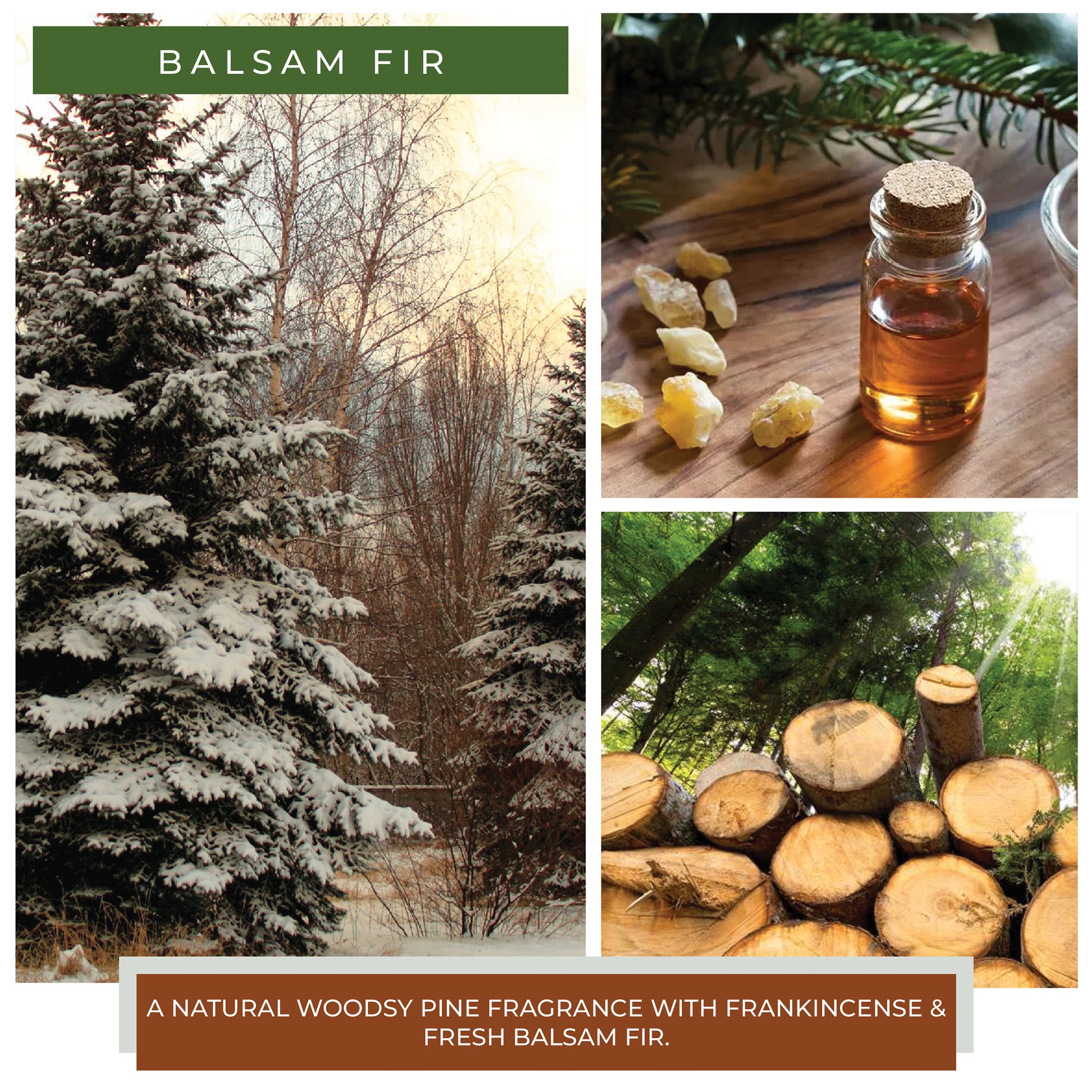 Balsam Fir - 34 oz Papa Candle