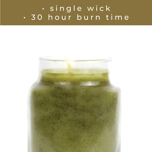 Bayberry - 6 oz Bayberry Candle