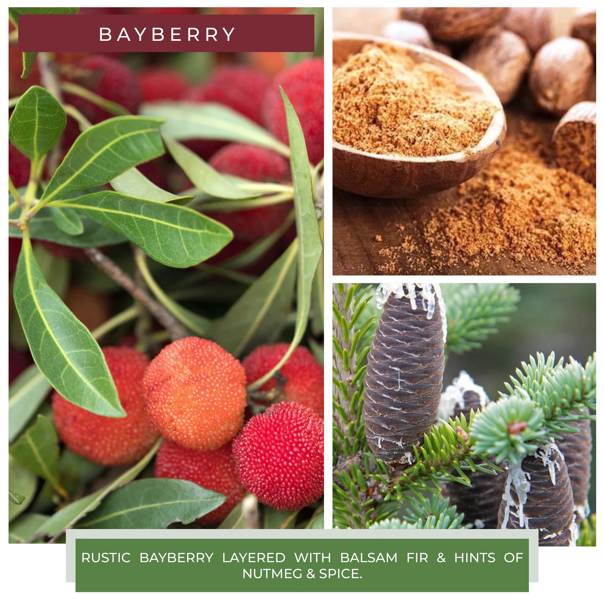 Bayberry - 22 oz Bayberry Candle