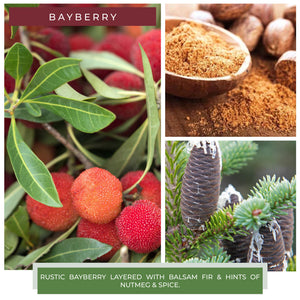 Bayberry - 22 oz Bayberry Candle