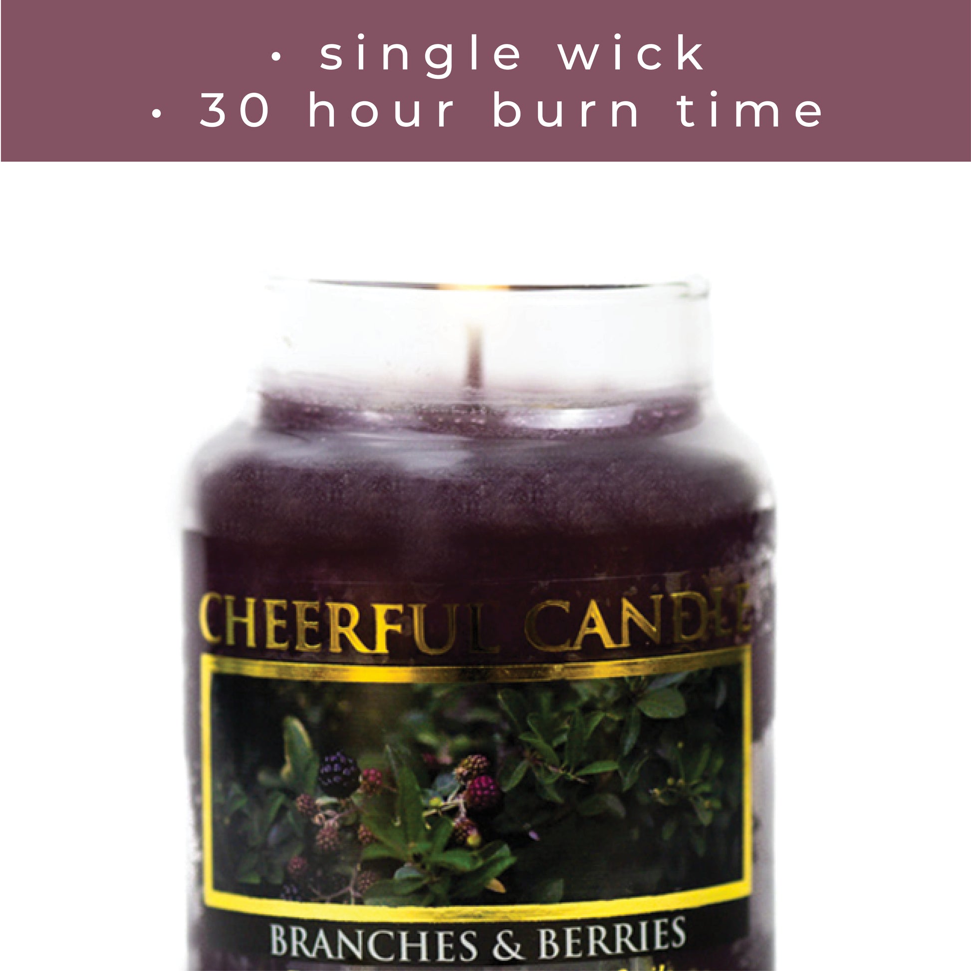 Branches & Berries - 6 oz Cheerful Candle