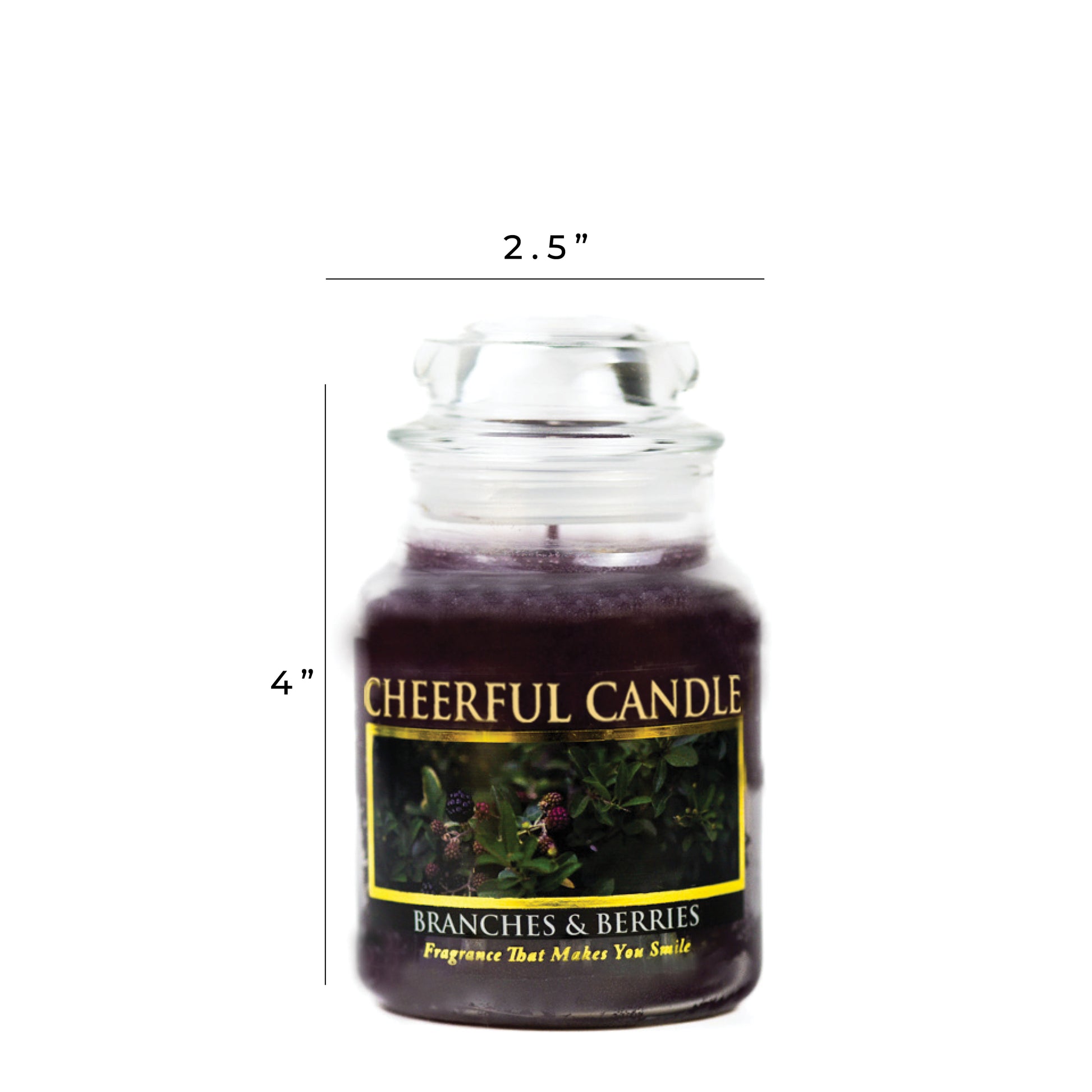 Branches & Berries - 6 oz Cheerful Candle