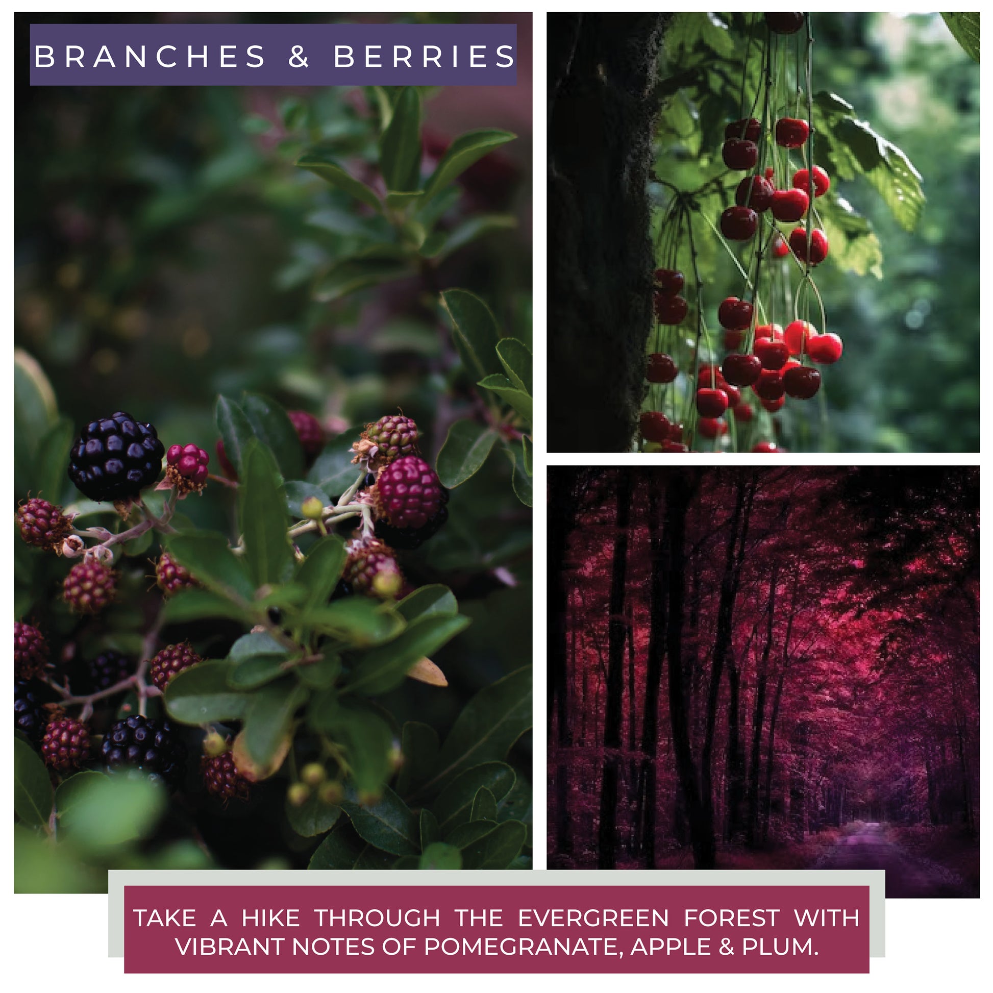 Branches & Berries - 22 oz Mama Candle