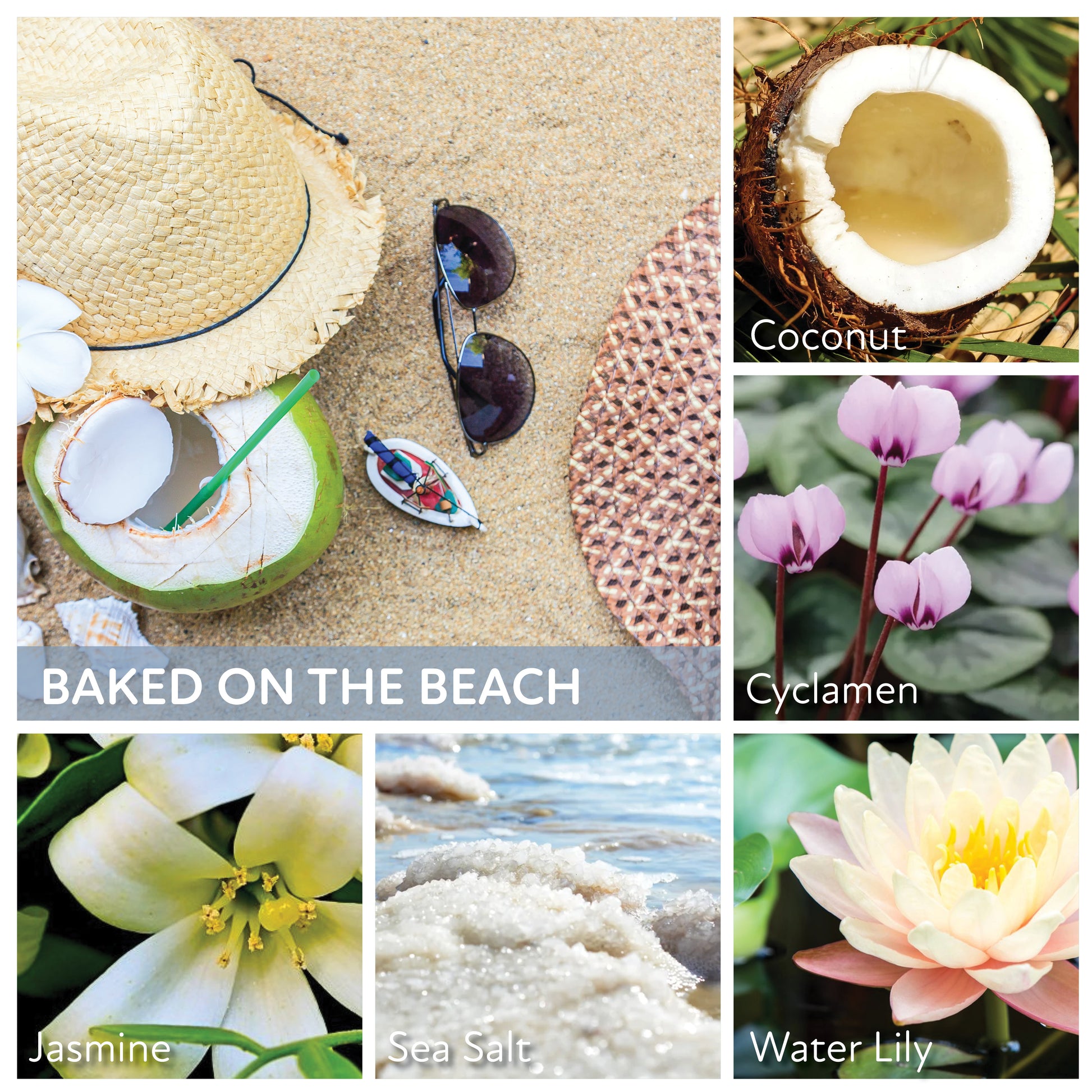 Baked on the Beach - 6 oz Cheerful Candle