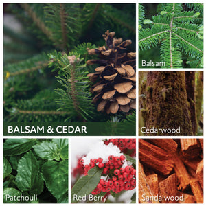Balsam and Cedar - 6 oz Cheerful Candle
