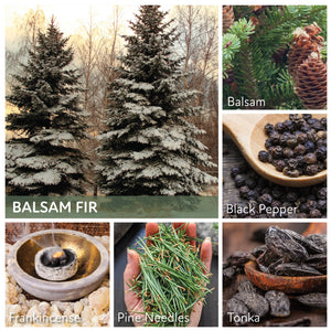 Balsam Fir - 24 oz Cheerful Candle