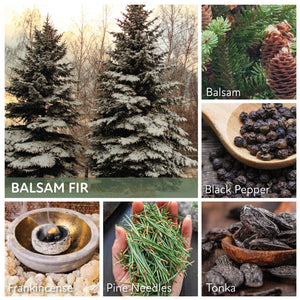 Balsam Fir - 6 oz Baby Candle