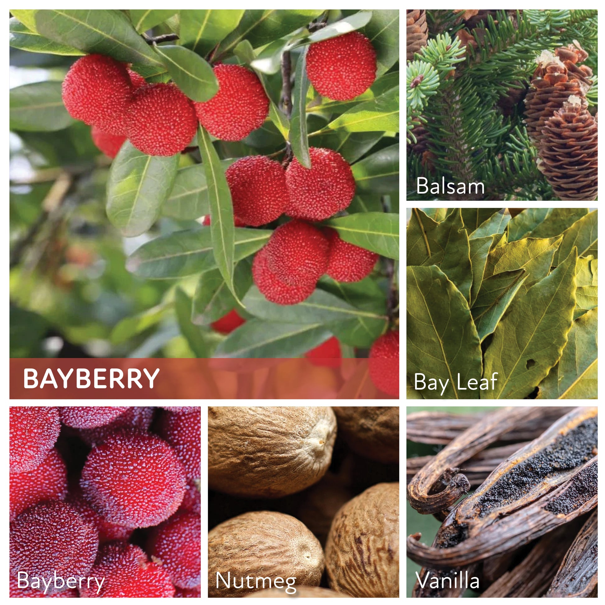 Bayberry - 34 oz Papa Candle