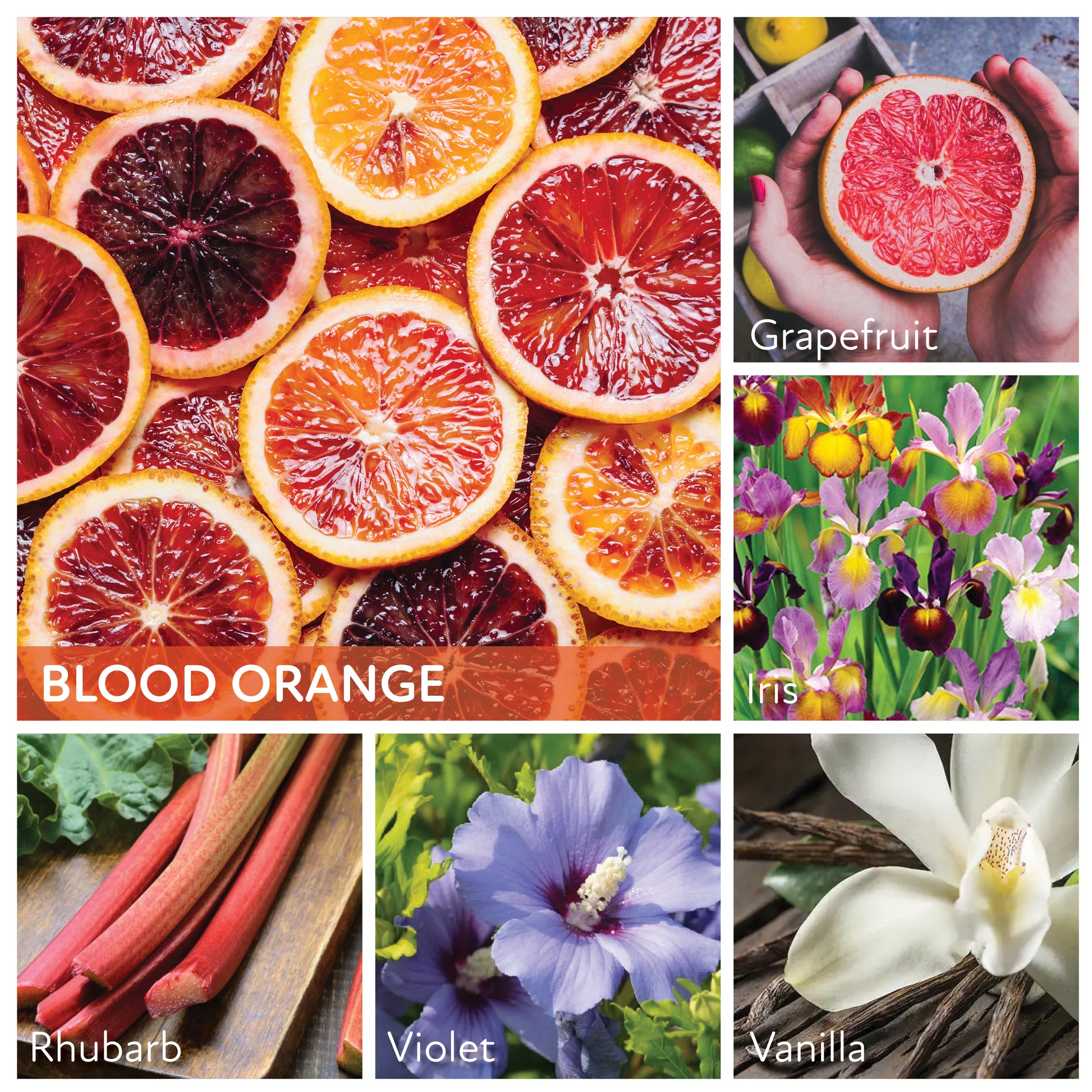 Blood Orange - 34 oz Papa Candle