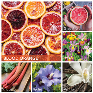 Blood Orange - 16 oz Cheerful Candle