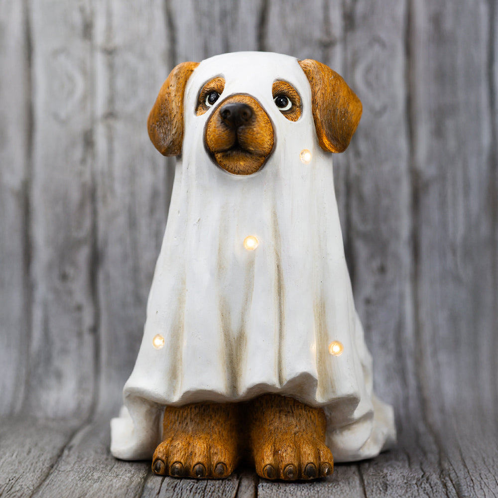 Ghost Dog