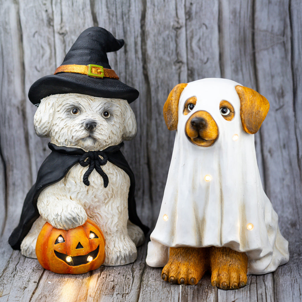 Ghost Dog