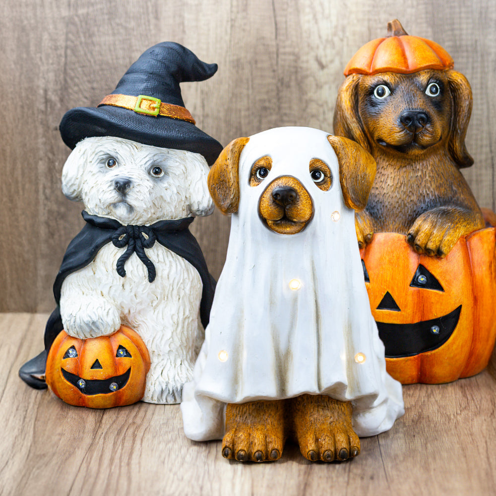 Ghost Dog
