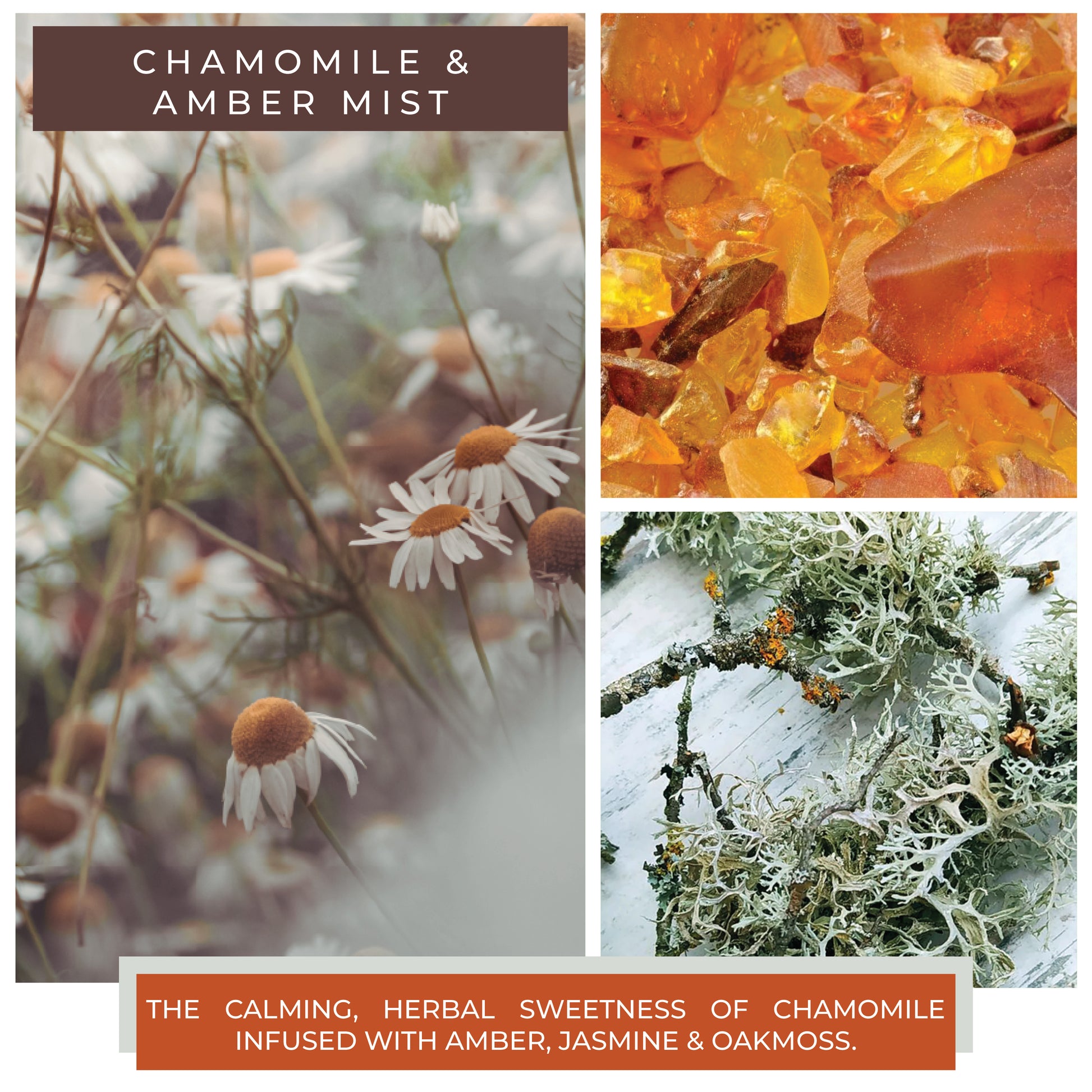 Chamomile & Amber Mist  - 6 oz Cheerful Candle