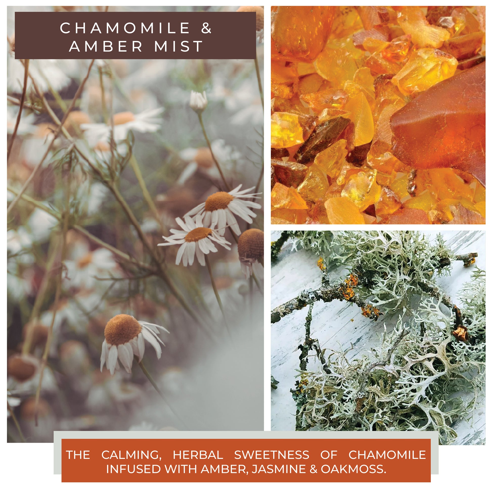 Chamomile & Amber Mist - 22 oz Mama Candle