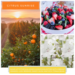 Citrus Sunrise - 24 oz Cheerful Candle