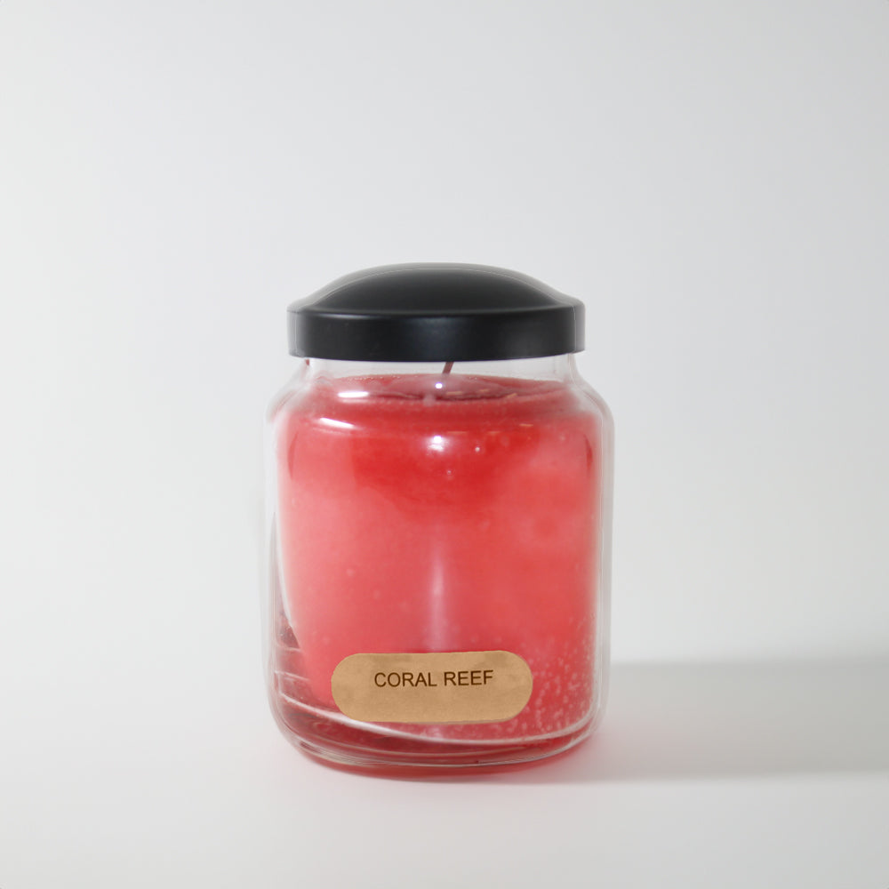 Coral Reef Scented Candle - 6 oz, Single Wick, Baby Jar