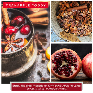 Cranapple Toddy - 24 oz Cheerful Candle