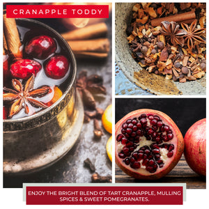 Cranapple Toddy - 6 oz Cheerful Candle