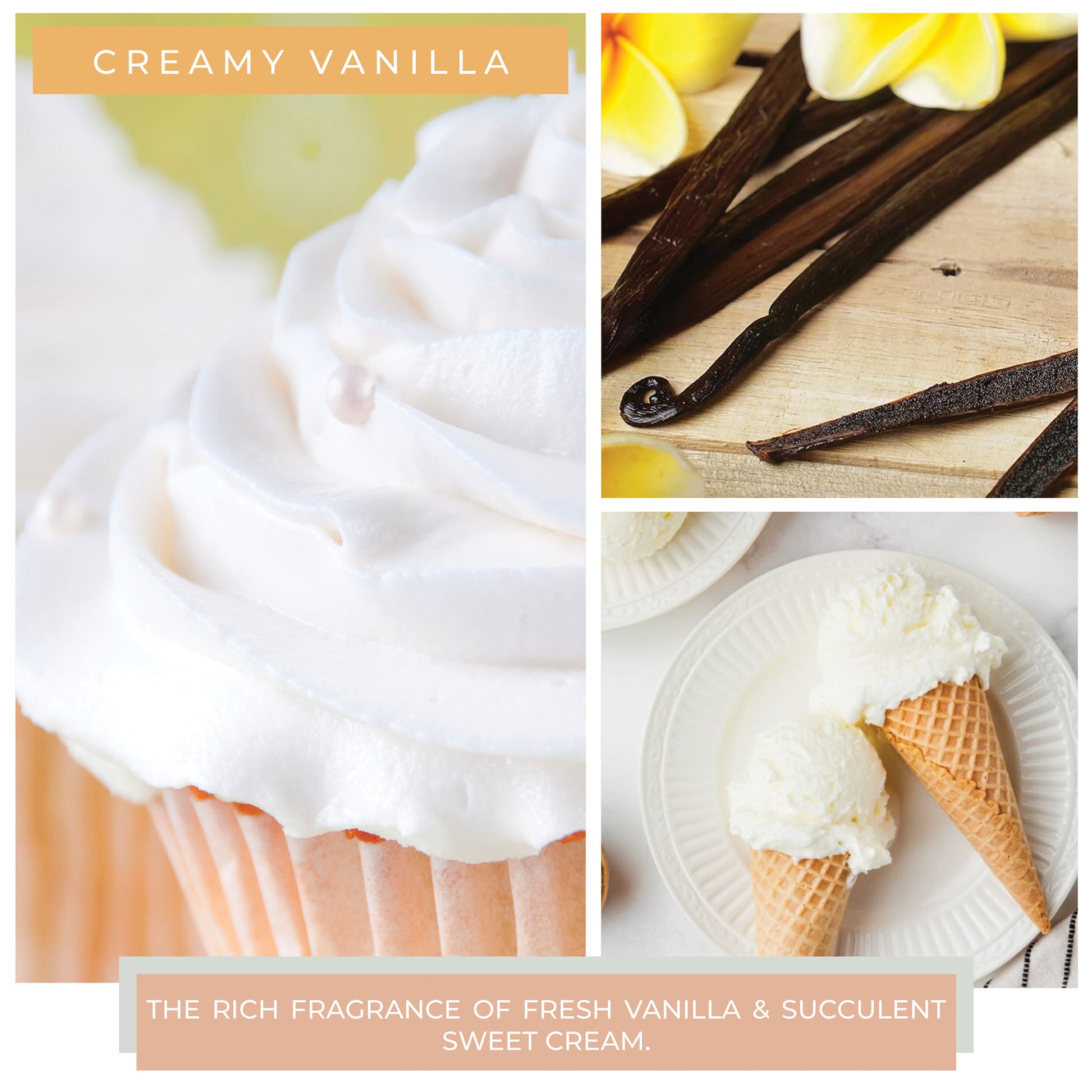 Creamy Vanilla - Room Air Infuser