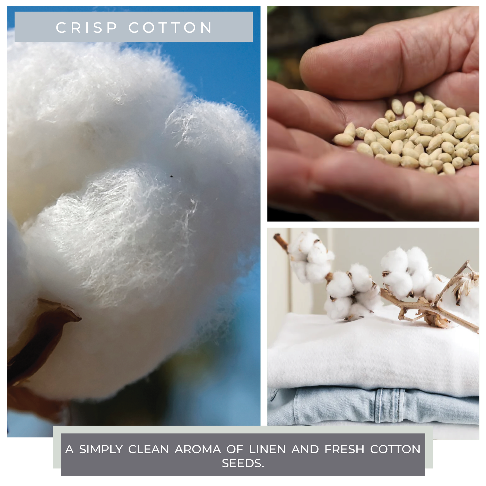 Crisp Cotton - 6 oz Baby Candle