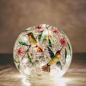 Dancing Hummingbird - LED Glass Orb