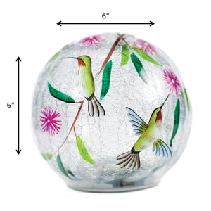 Dancing Hummingbird - LED Glass Orb