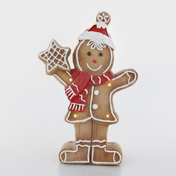 Mr. Gingerbread Man