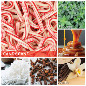 Candy Cane - 6 oz Cheerful Candle