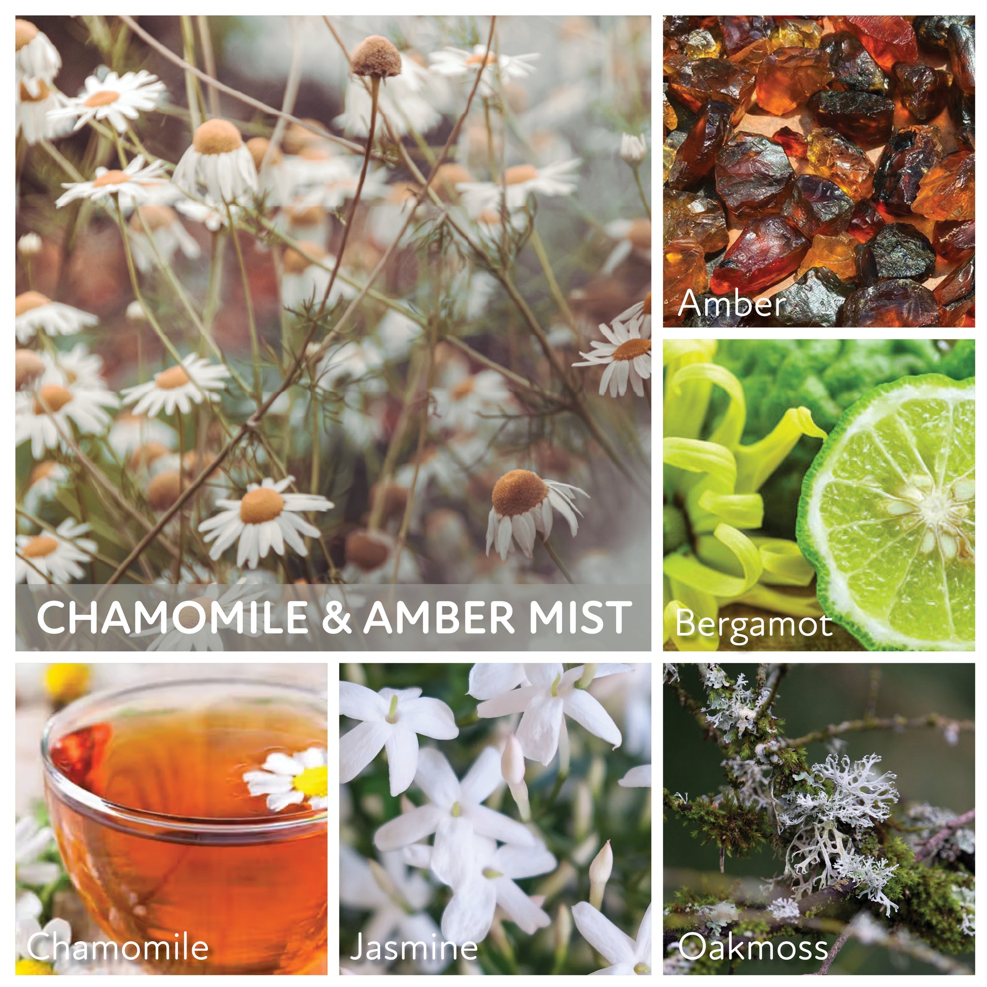 Chamomile & Amber Mist - 16 oz Cheerful Candle