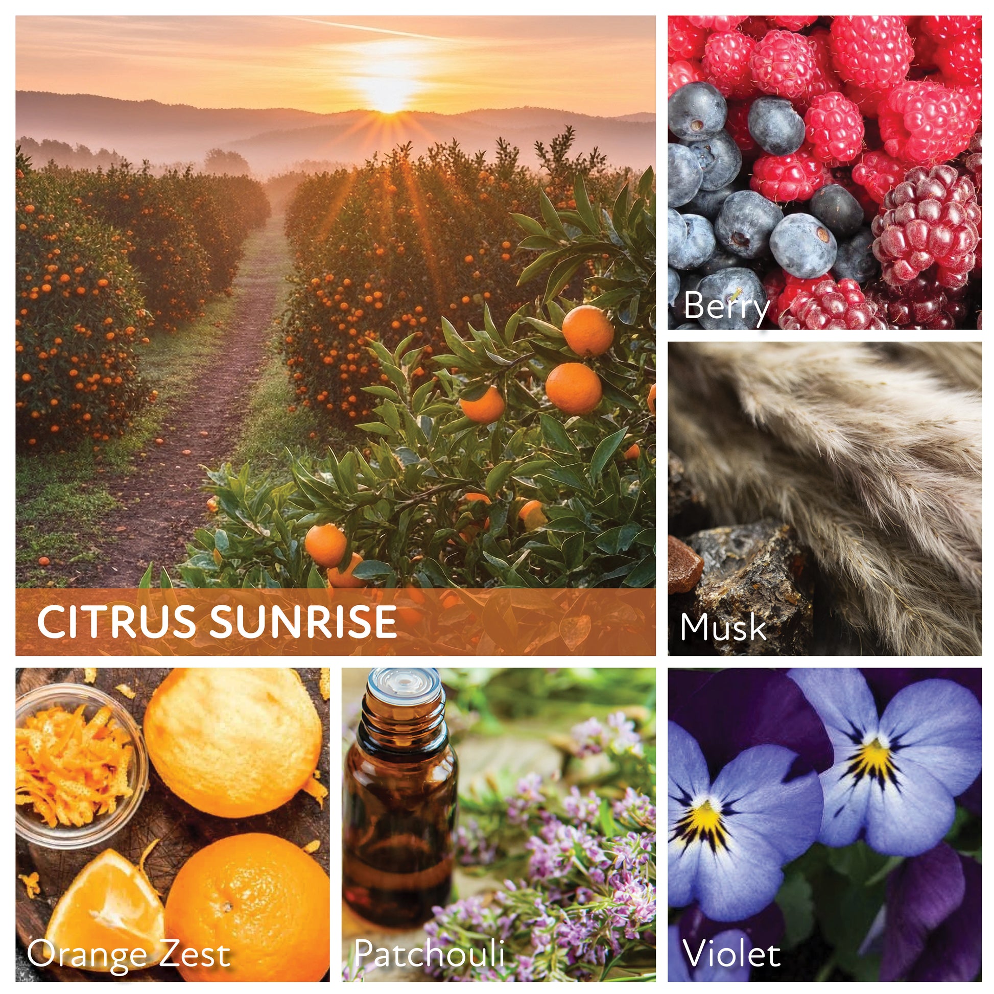 Citrus Sunrise - 6 oz Cheerful Candle