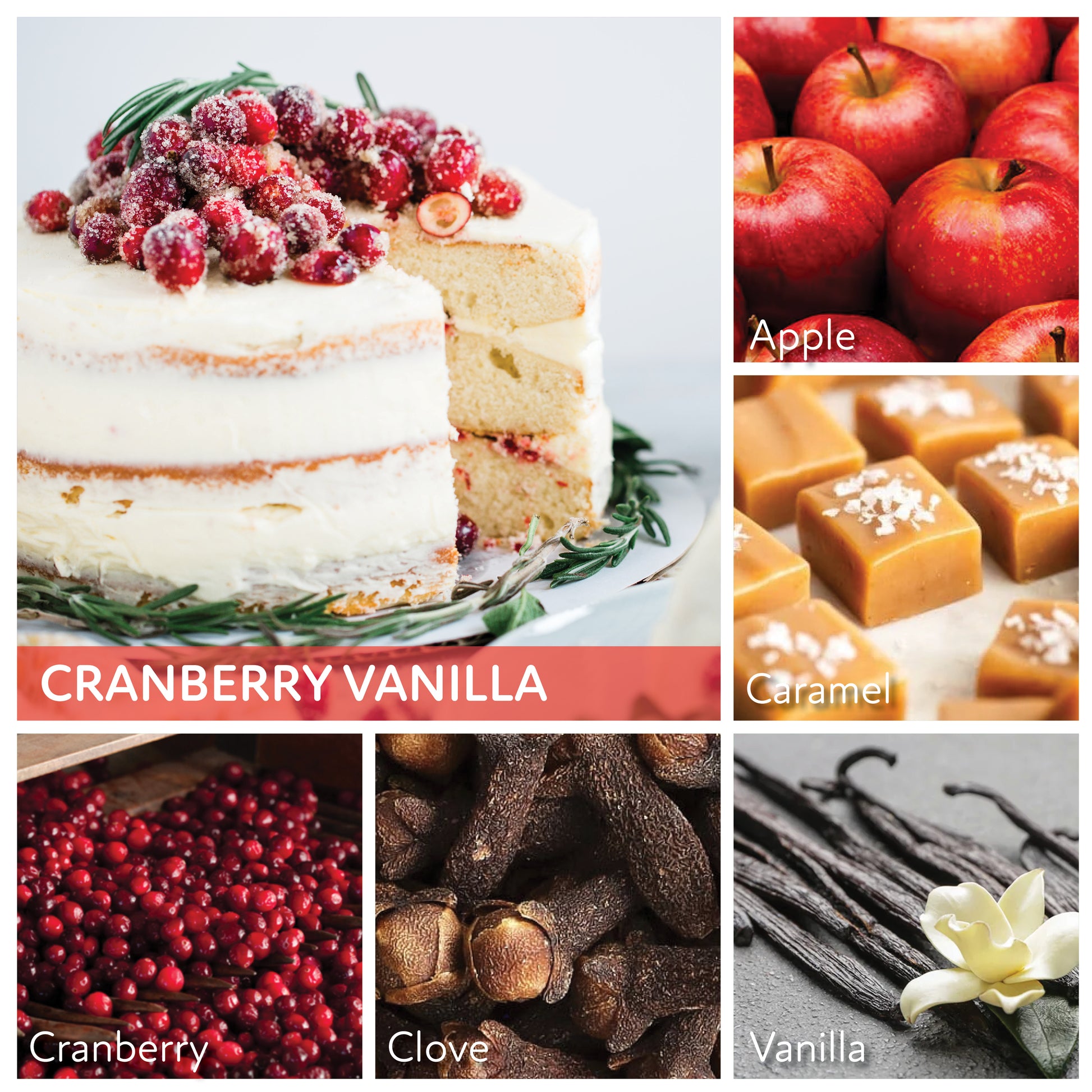 Cranberry Vanilla - 6 oz Cheerful Candle