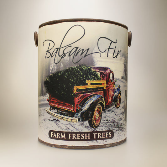 Balsam Fir - Farm Fresh Jar Planter