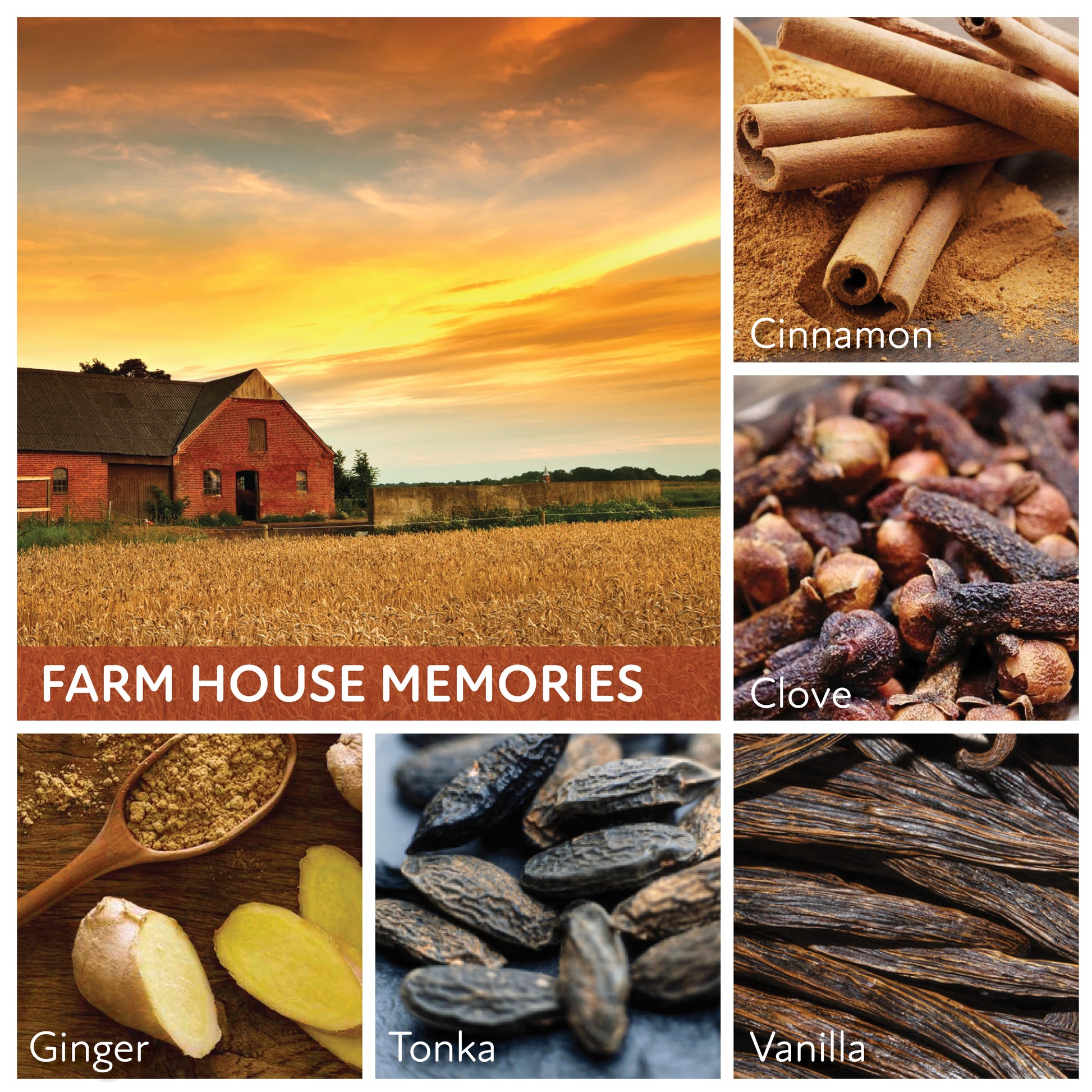 Farm House Memories - 24 oz Cheerful Candle